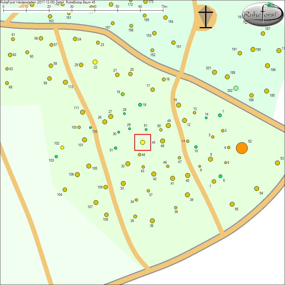 Detailkarte zu Baum 45