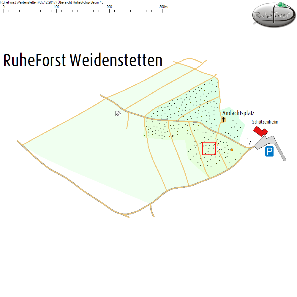 &Uuml;bersichtskarte zu Baum 45