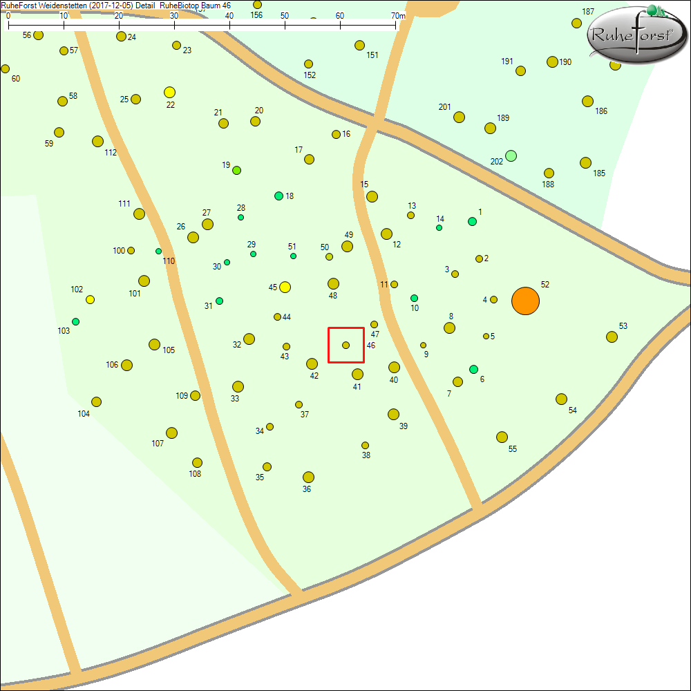 Detailkarte zu Baum 46