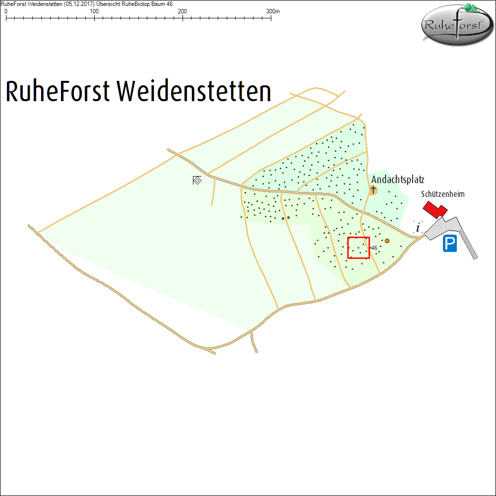 &Uuml;bersichtskarte zu Baum 46
