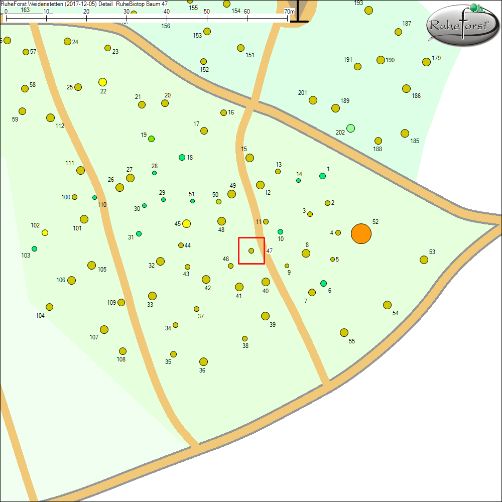 Detailkarte zu Baum 47