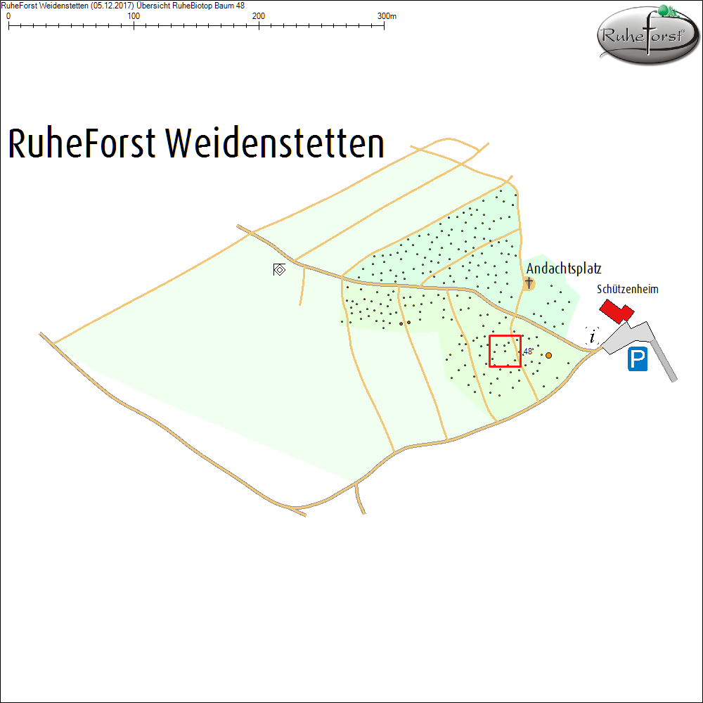 &Uuml;bersichtskarte zu Baum 48