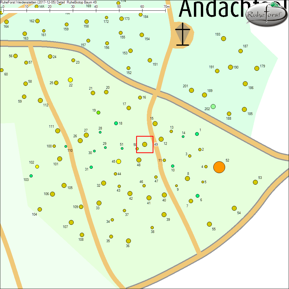 Detailkarte zu Baum 49