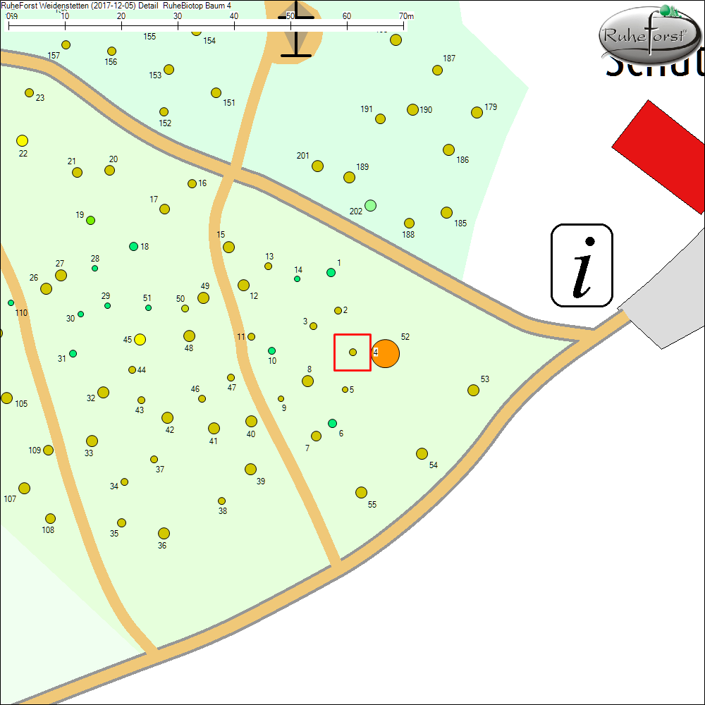 Detailkarte zu Baum 4