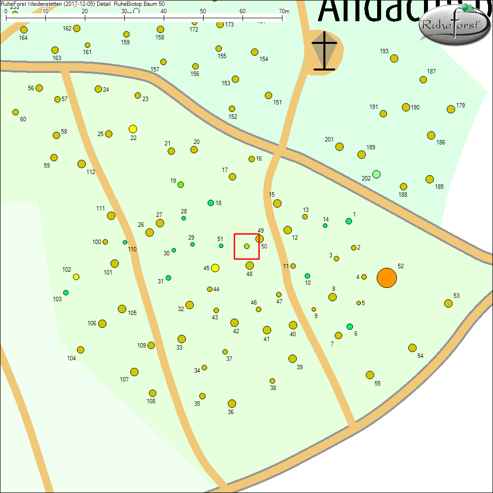 Detailkarte zu Baum 50
