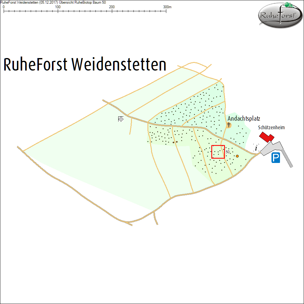 &Uuml;bersichtskarte zu Baum 50