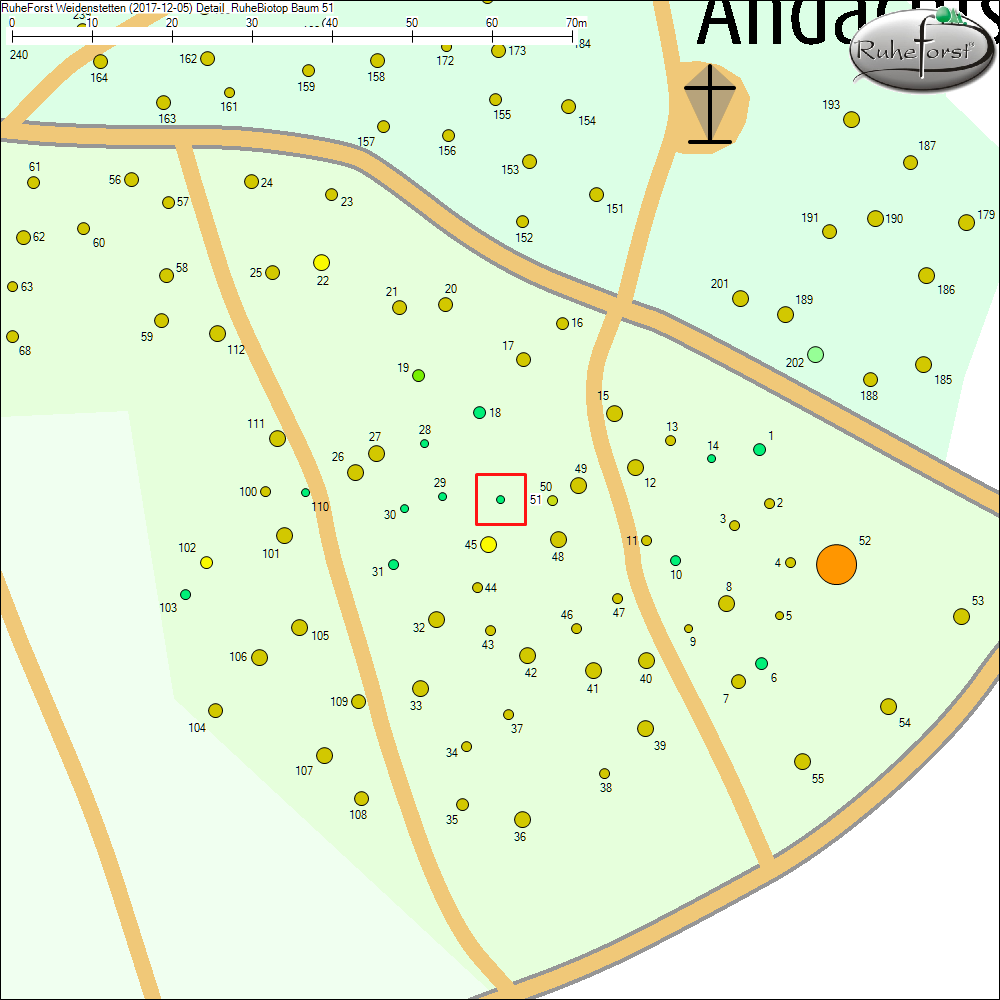Detailkarte zu Baum 51