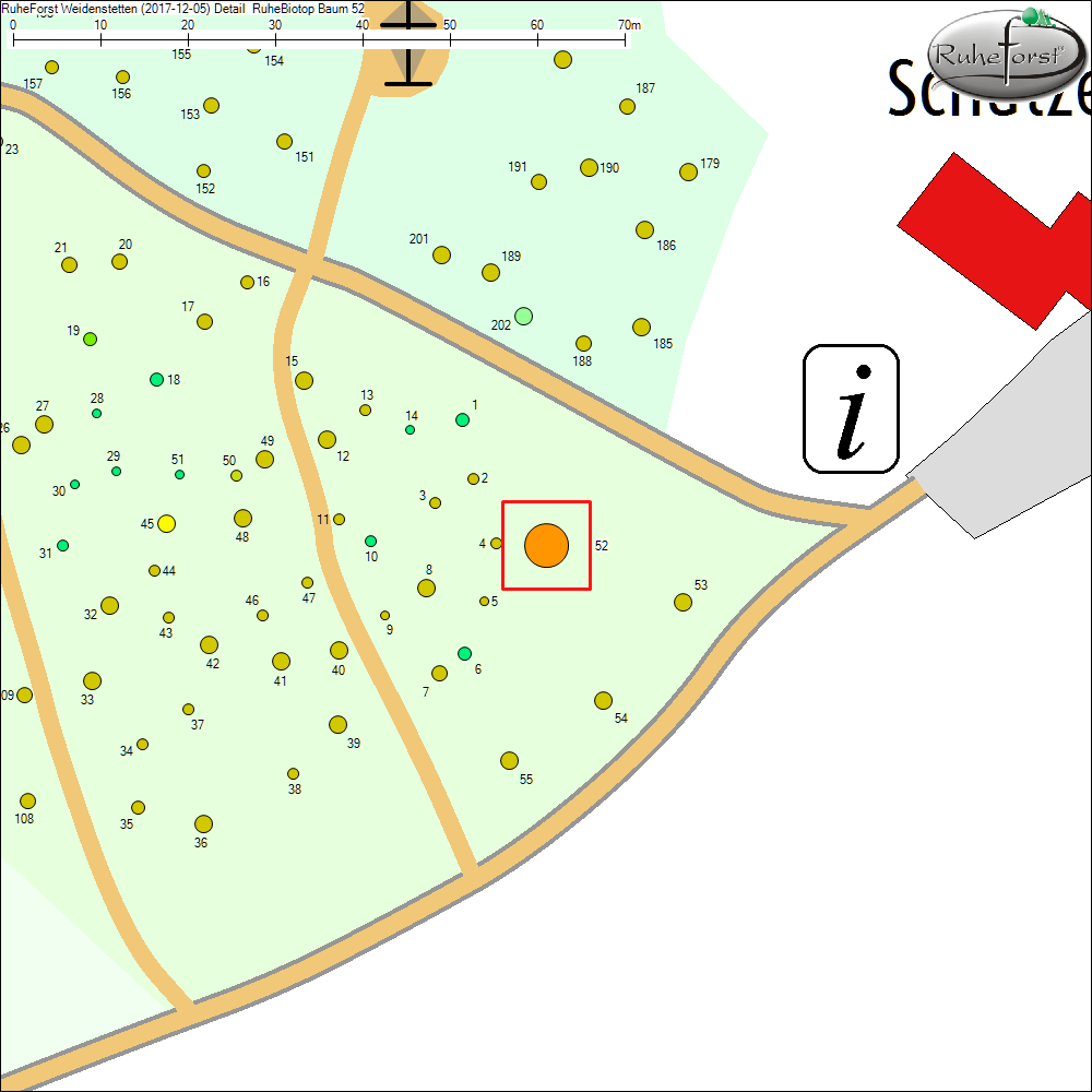 Detailkarte zu Baum 52
