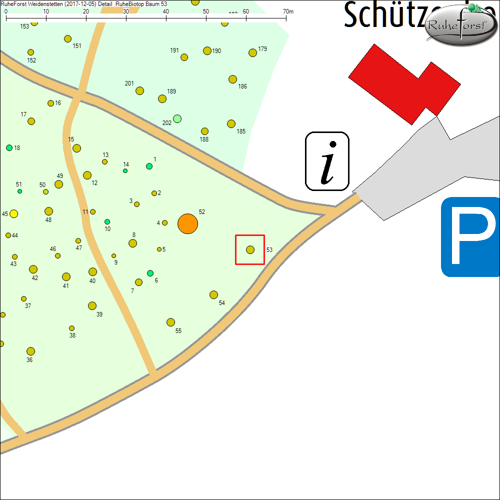 Detailkarte zu Baum 53