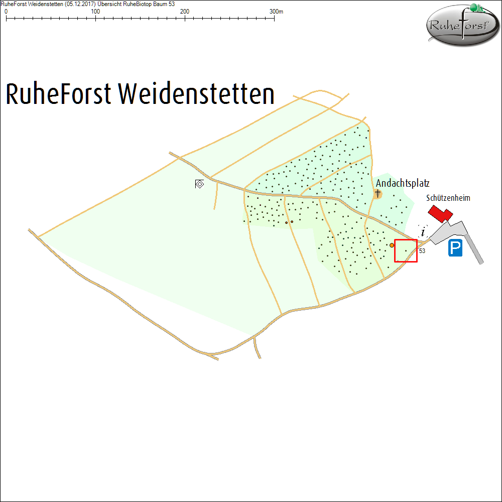 &Uuml;bersichtskarte zu Baum 53