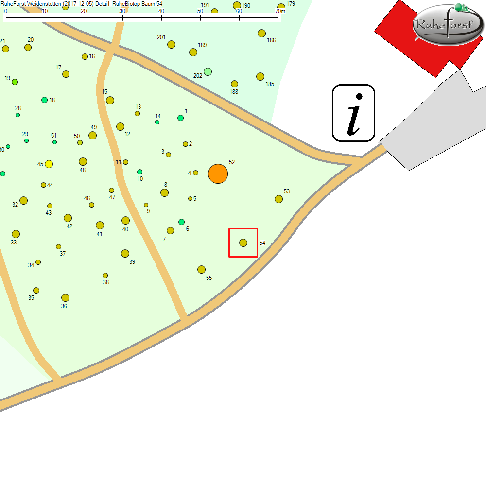 Detailkarte zu Baum 54