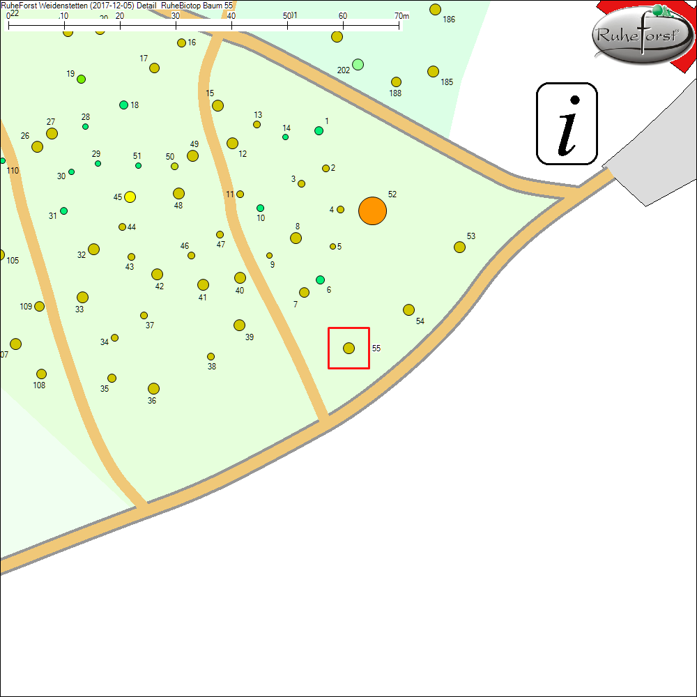 Detailkarte zu Baum 55
