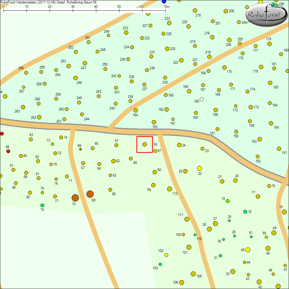 Detailkarte zu Baum 56