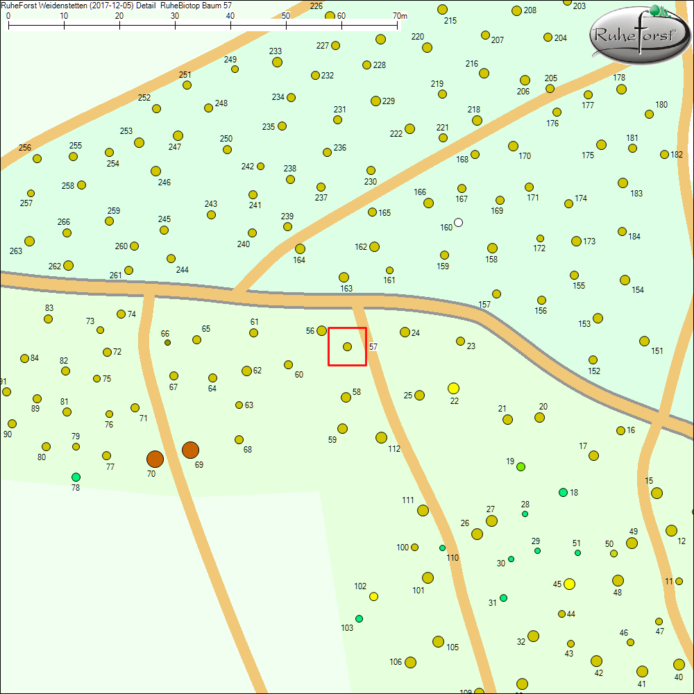 Detailkarte zu Baum 57