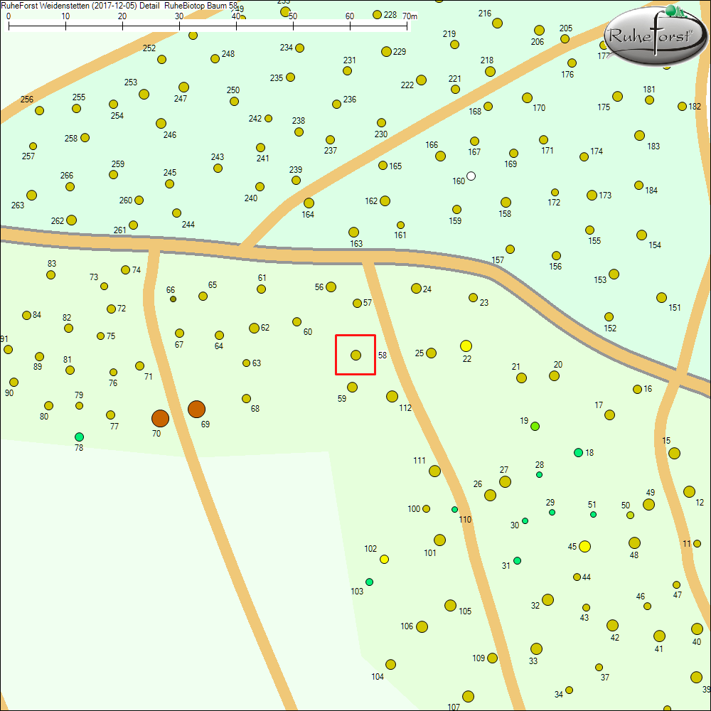Detailkarte zu Baum 58