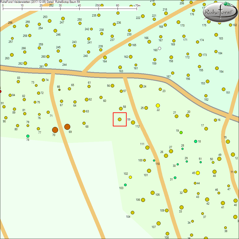 Detailkarte zu Baum 59