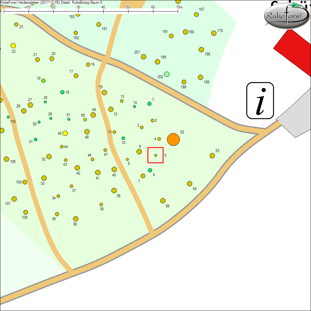 Detailkarte zu Baum 5