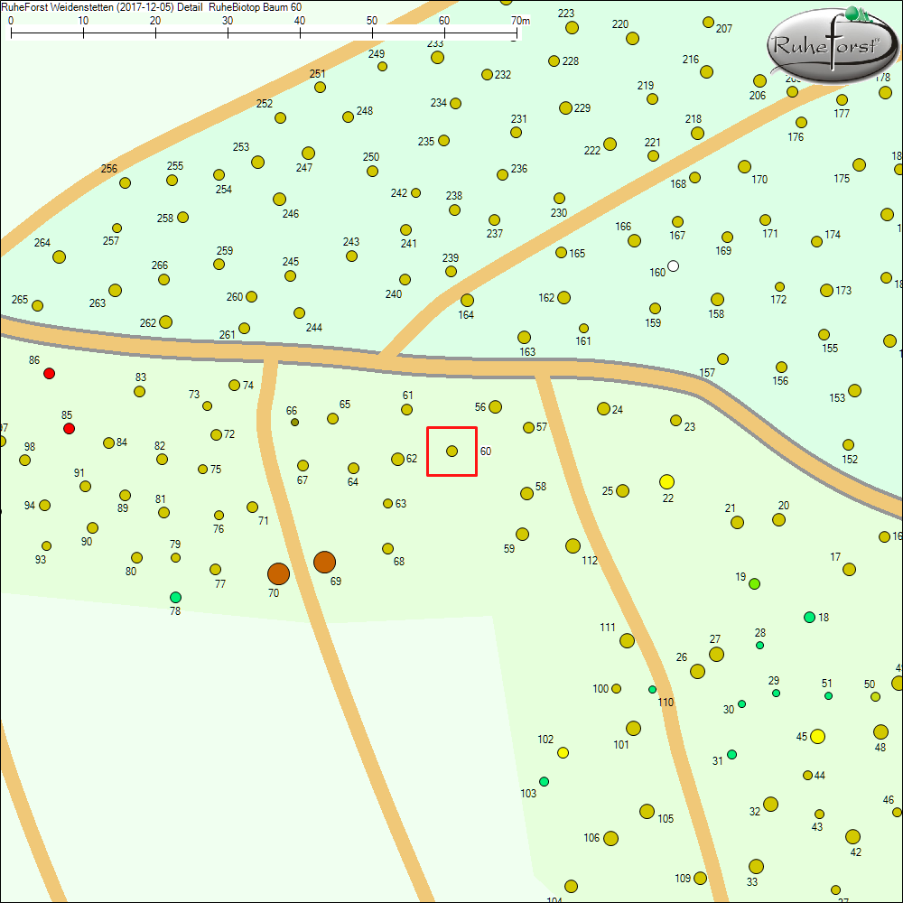 Detailkarte zu Baum 60