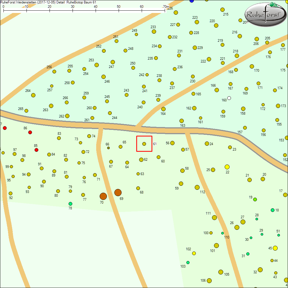 Detailkarte zu Baum 61