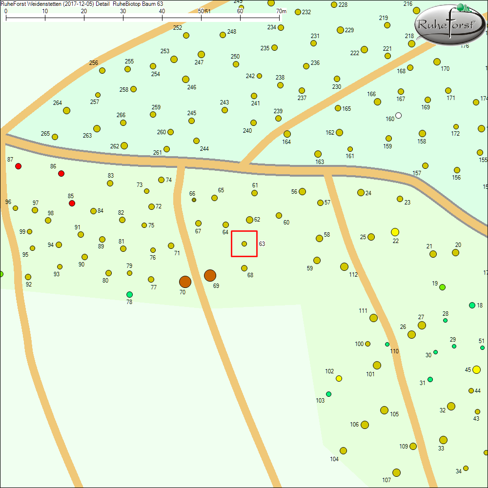 Detailkarte zu Baum 63