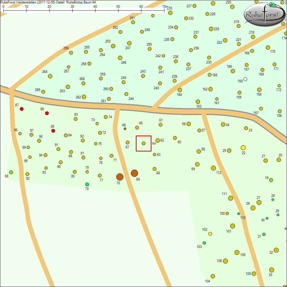 Detailkarte zu Baum 64
