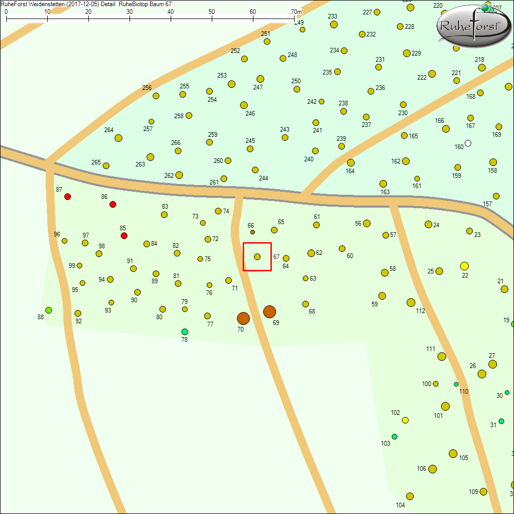 Detailkarte zu Baum 67