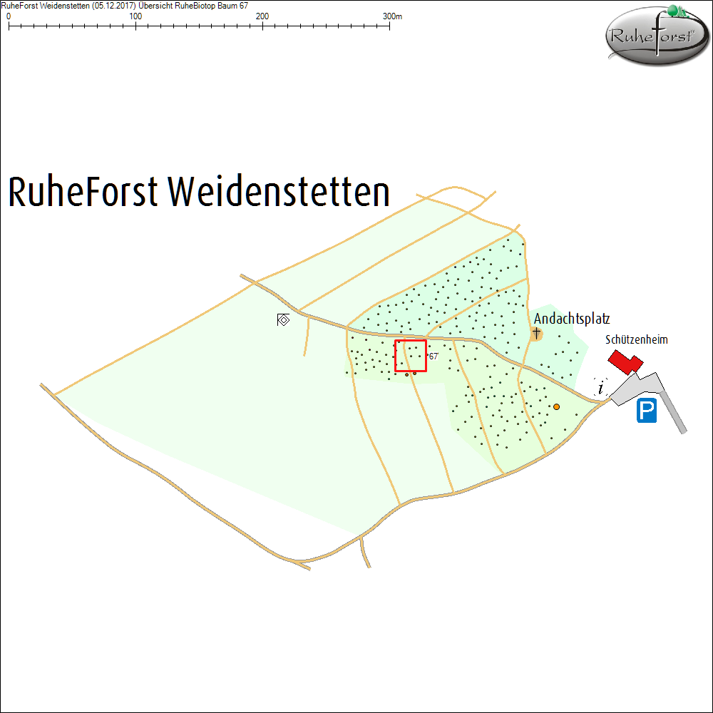 &Uuml;bersichtskarte zu Baum 67