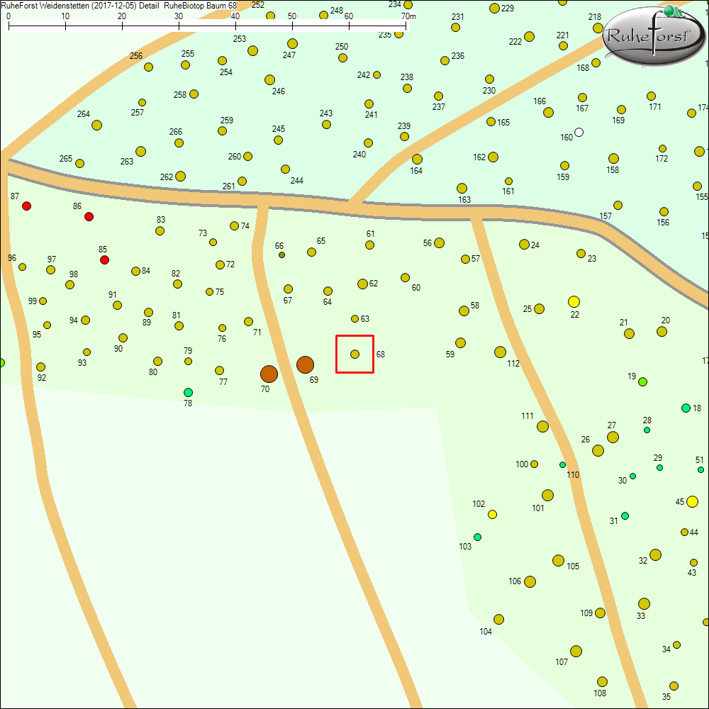 Detailkarte zu Baum 68