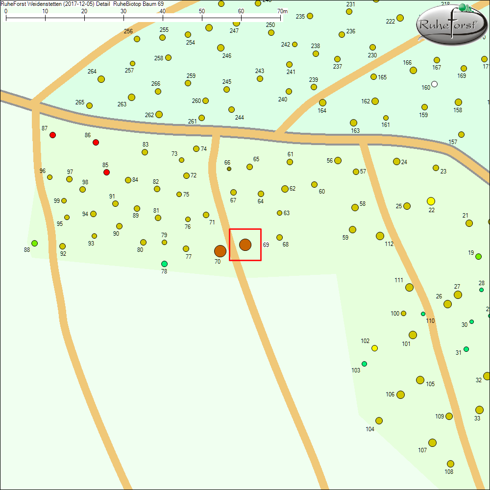 Detailkarte zu Baum 69