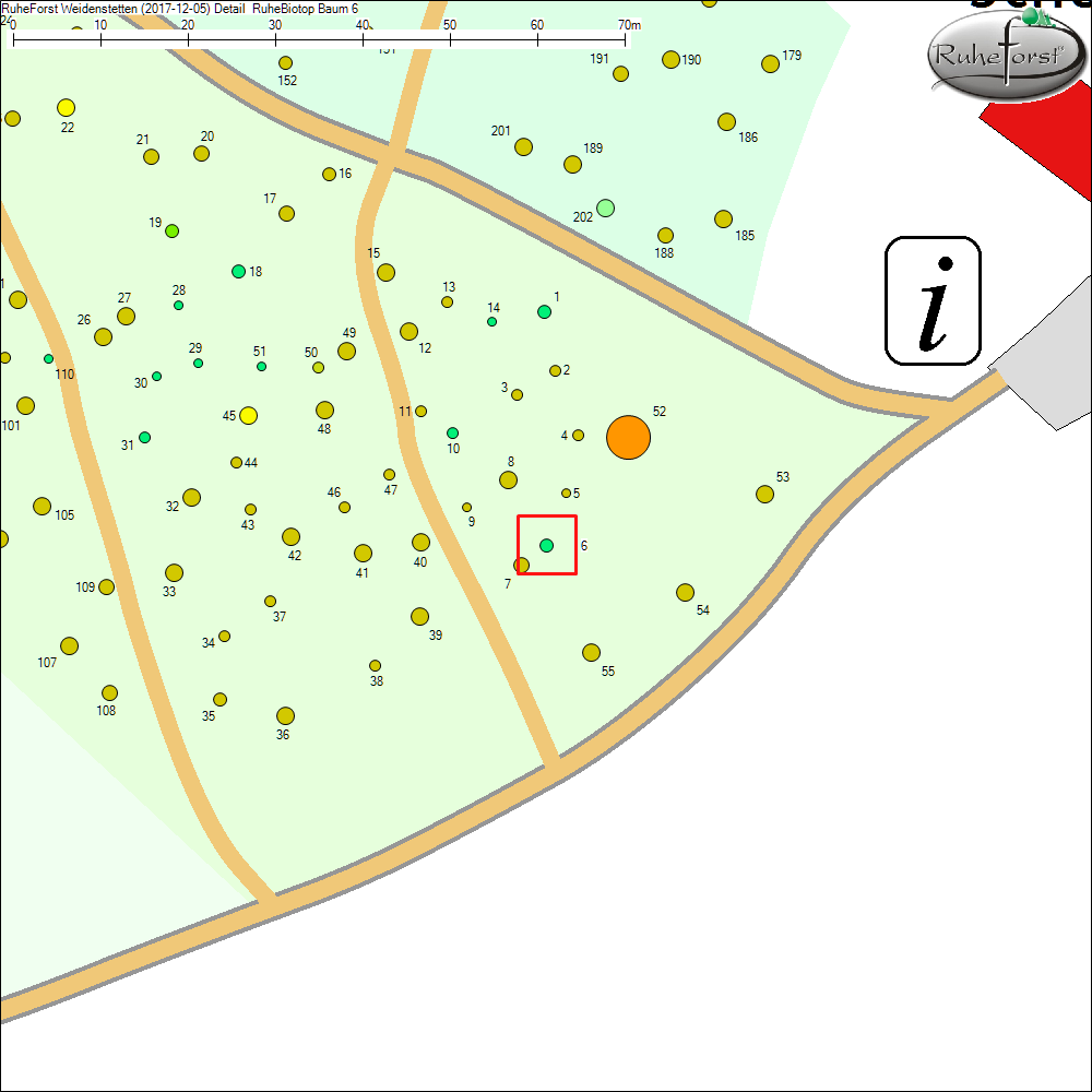 Detailkarte zu Baum 6