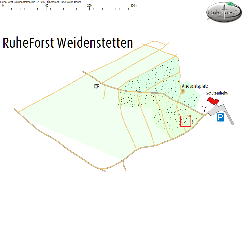 &Uuml;bersichtskarte zu Baum 6