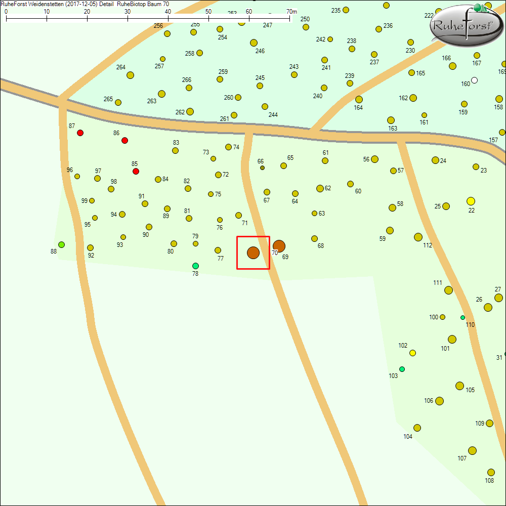 Detailkarte zu Baum 70