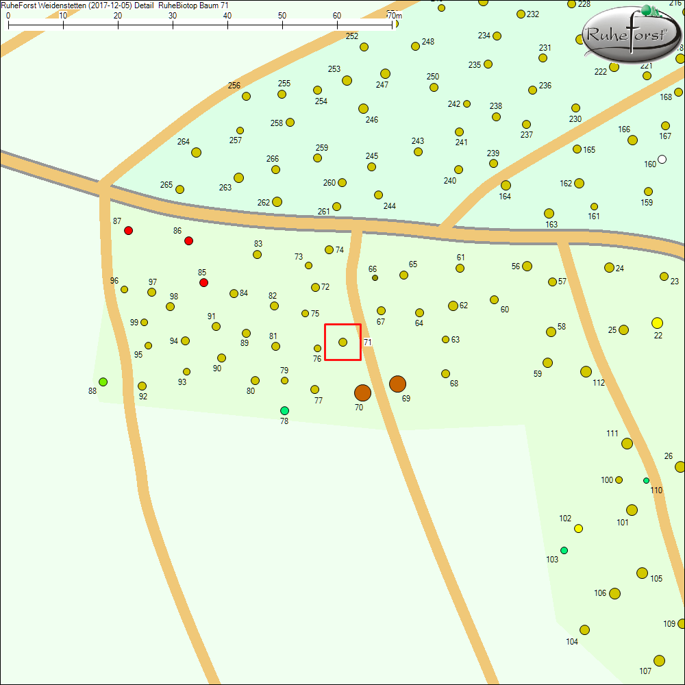 Detailkarte zu Baum 71