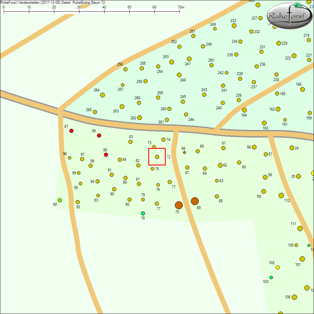 Detailkarte zu Baum 72