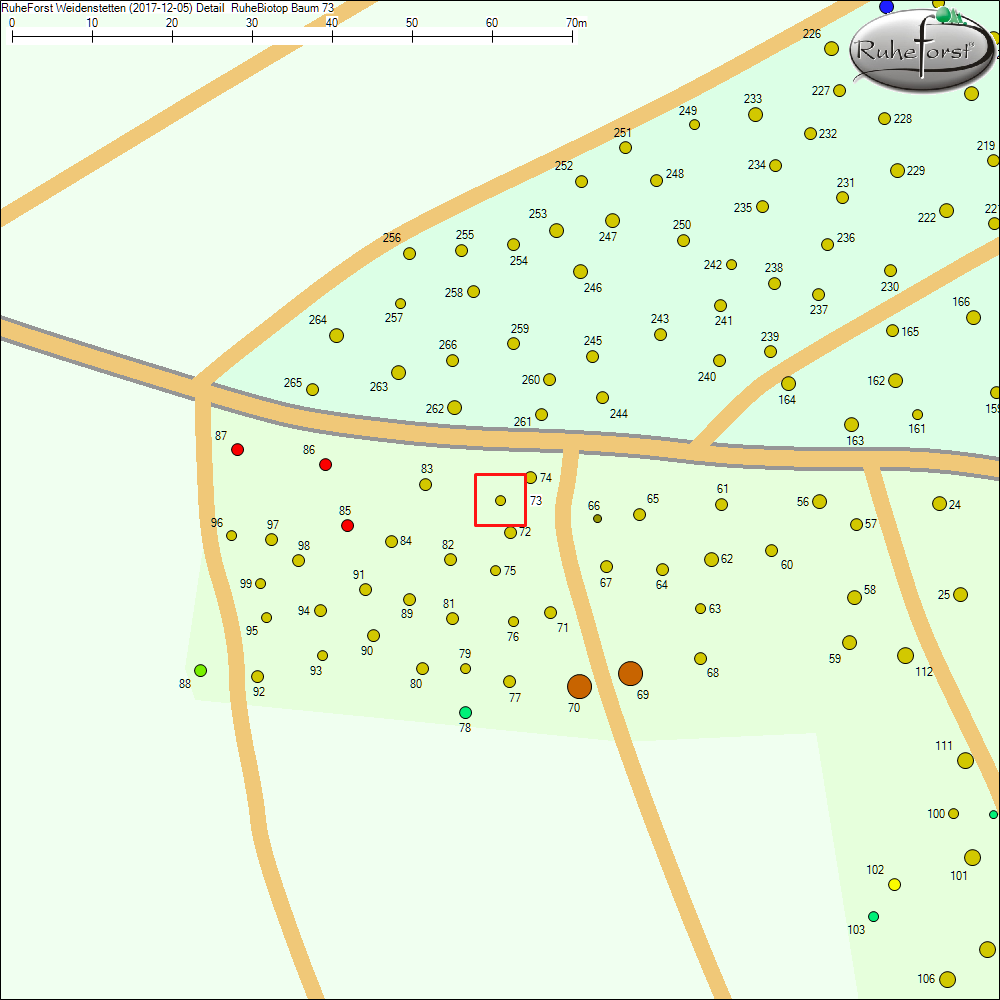 Detailkarte zu Baum 73