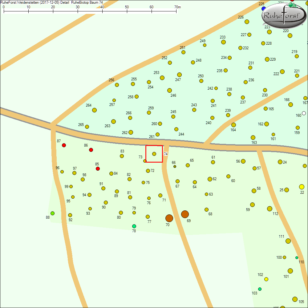 Detailkarte zu Baum 74