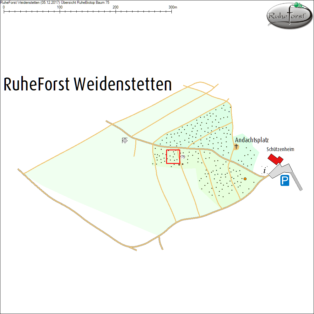 &Uuml;bersichtskarte zu Baum 75