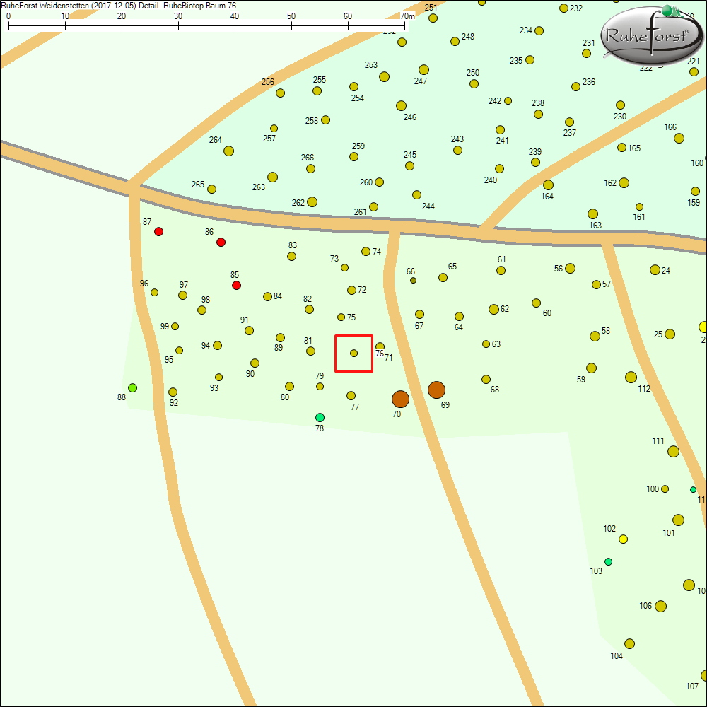 Detailkarte zu Baum 76