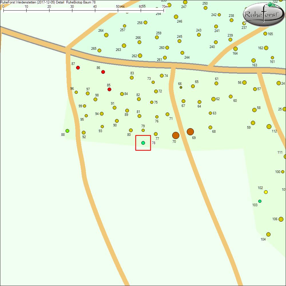 Detailkarte zu Baum 78