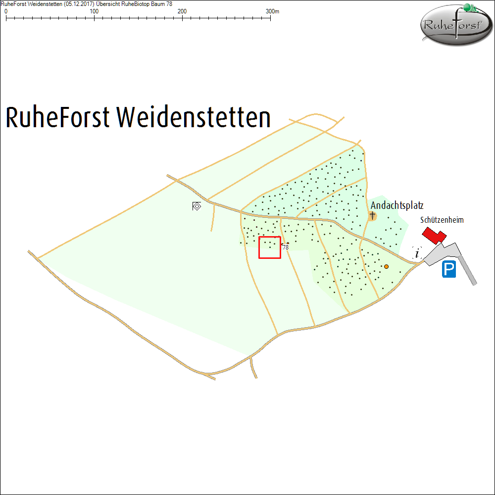 &Uuml;bersichtskarte zu Baum 78