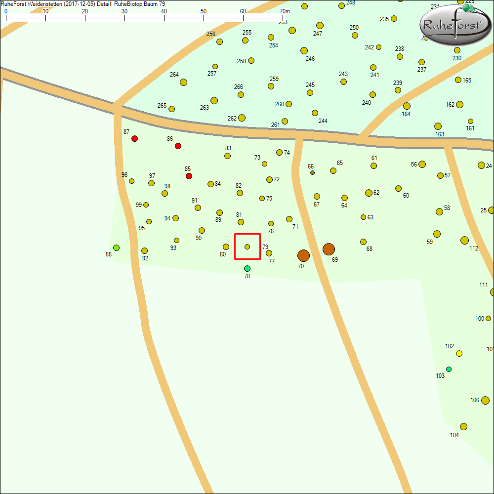 Detailkarte zu Baum 79
