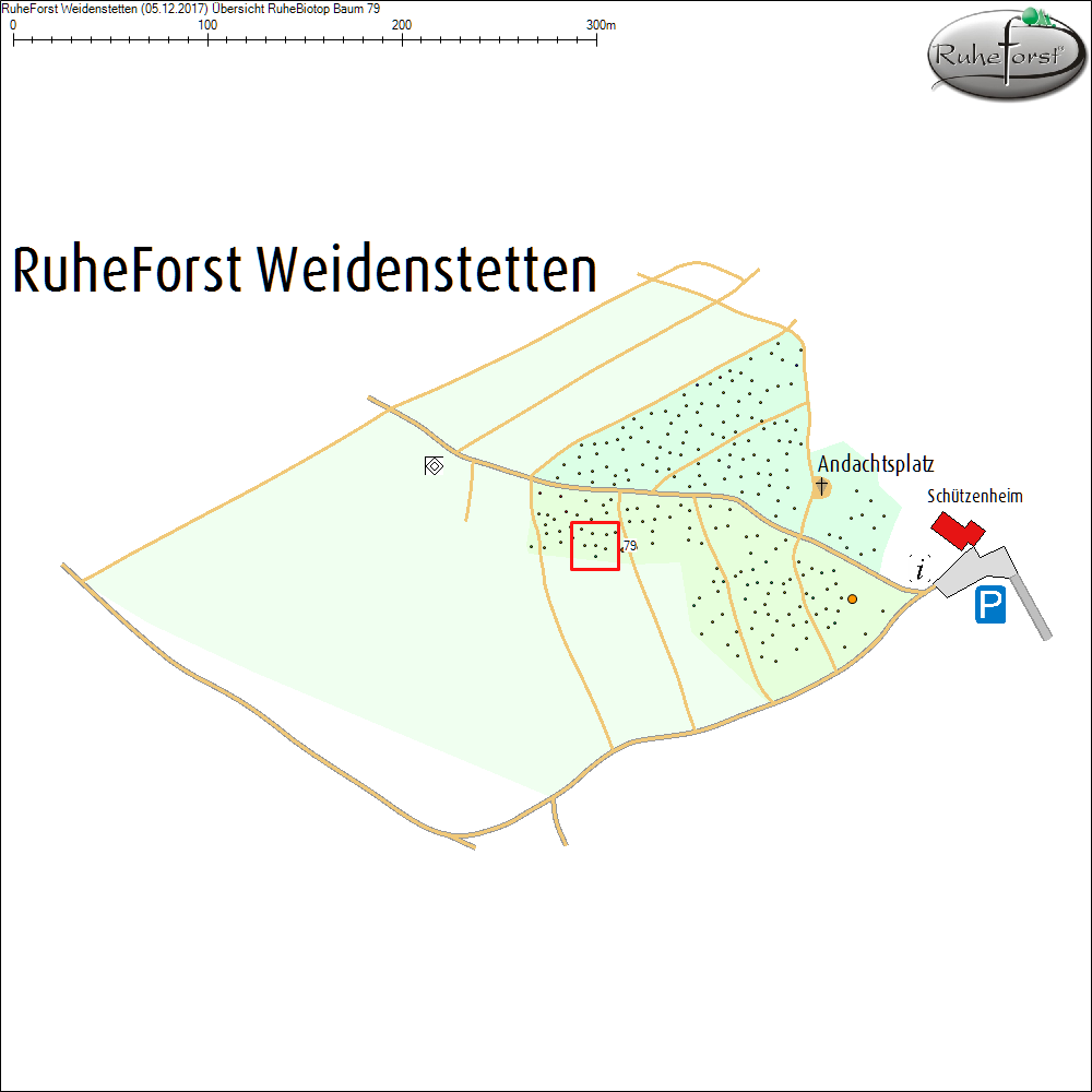 &Uuml;bersichtskarte zu Baum 79