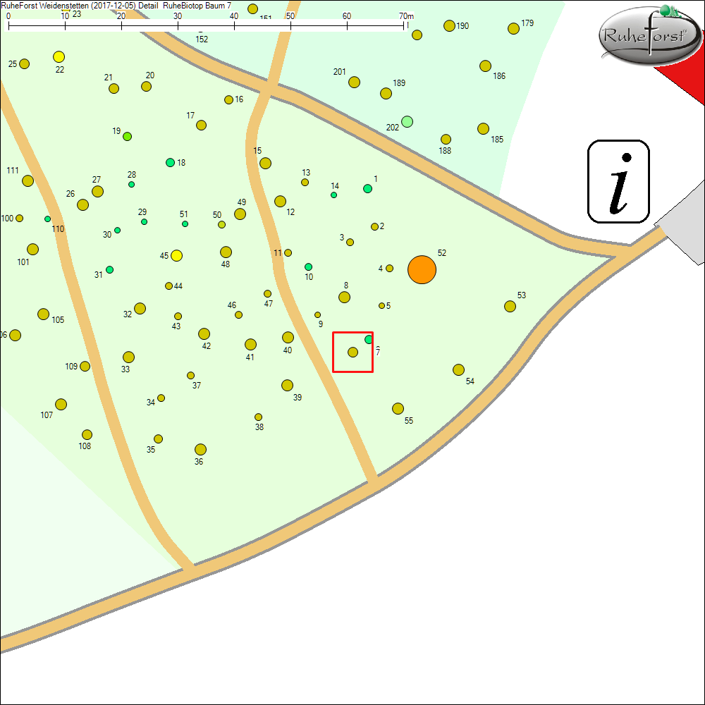 Detailkarte zu Baum 7