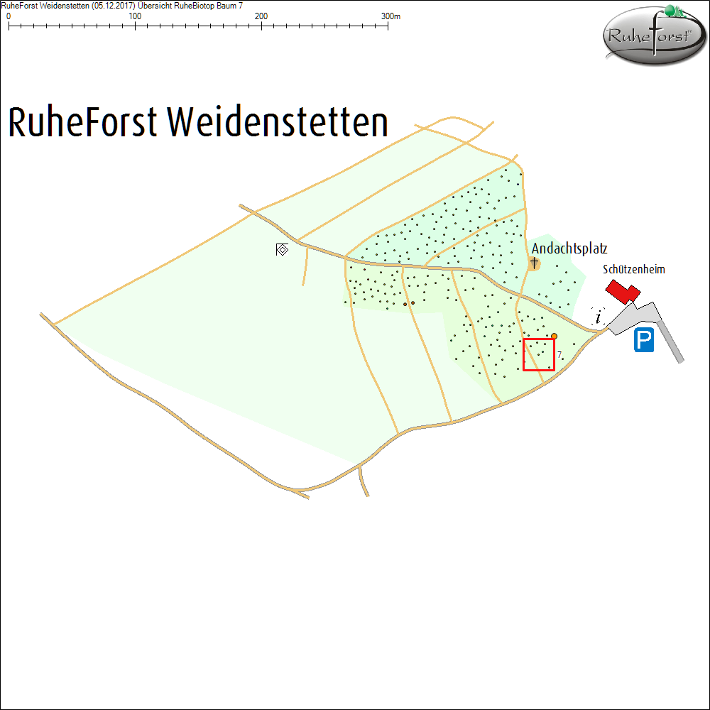 &Uuml;bersichtskarte zu Baum 7