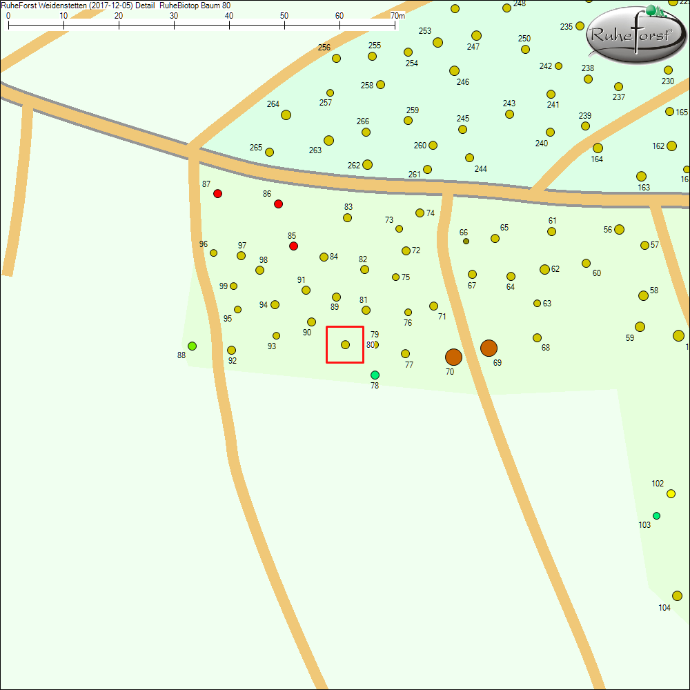 Detailkarte zu Baum 80