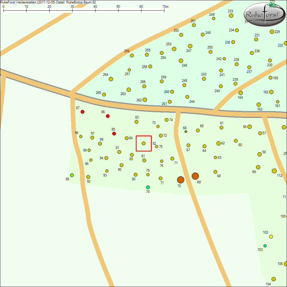 Detailkarte zu Baum 82