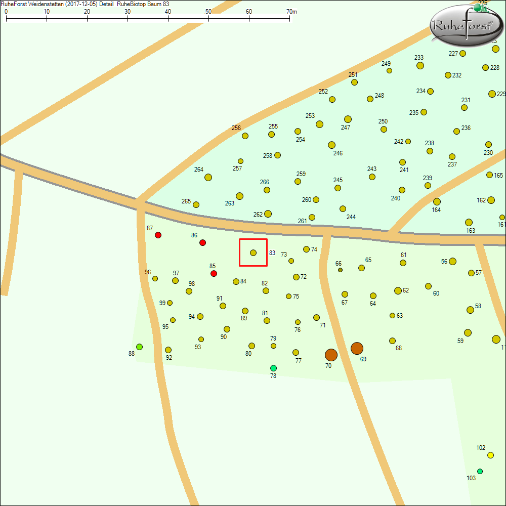 Detailkarte zu Baum 83