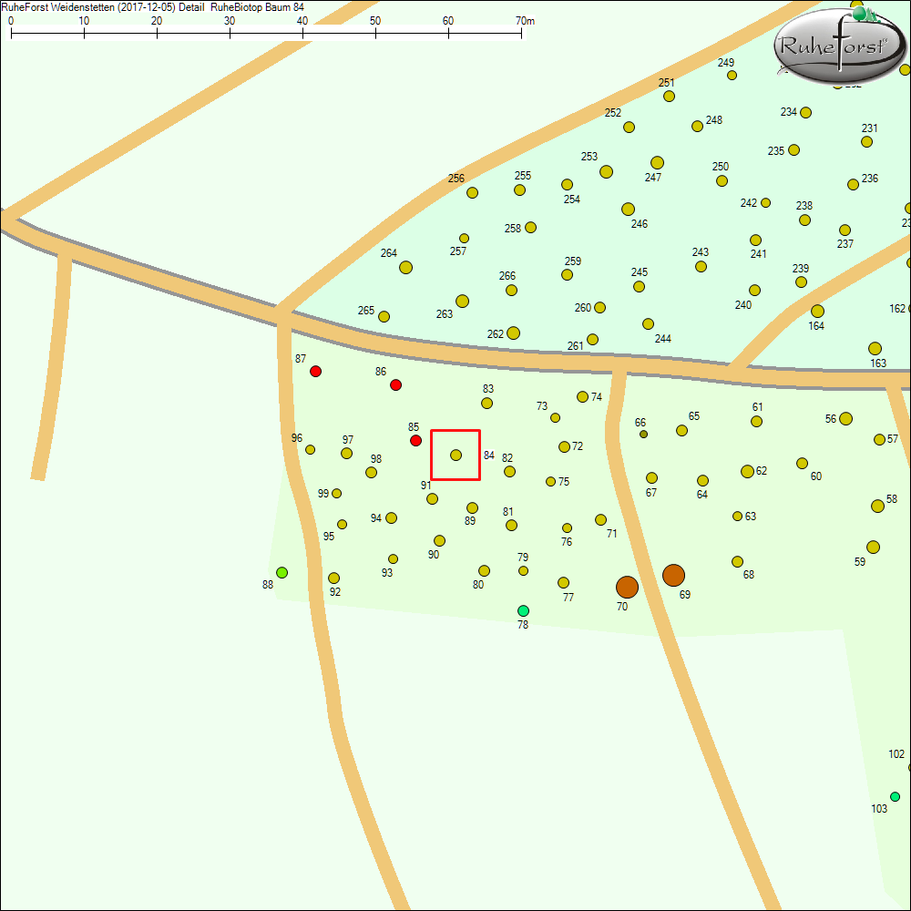 Detailkarte zu Baum 84