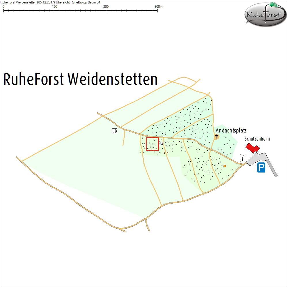 &Uuml;bersichtskarte zu Baum 84