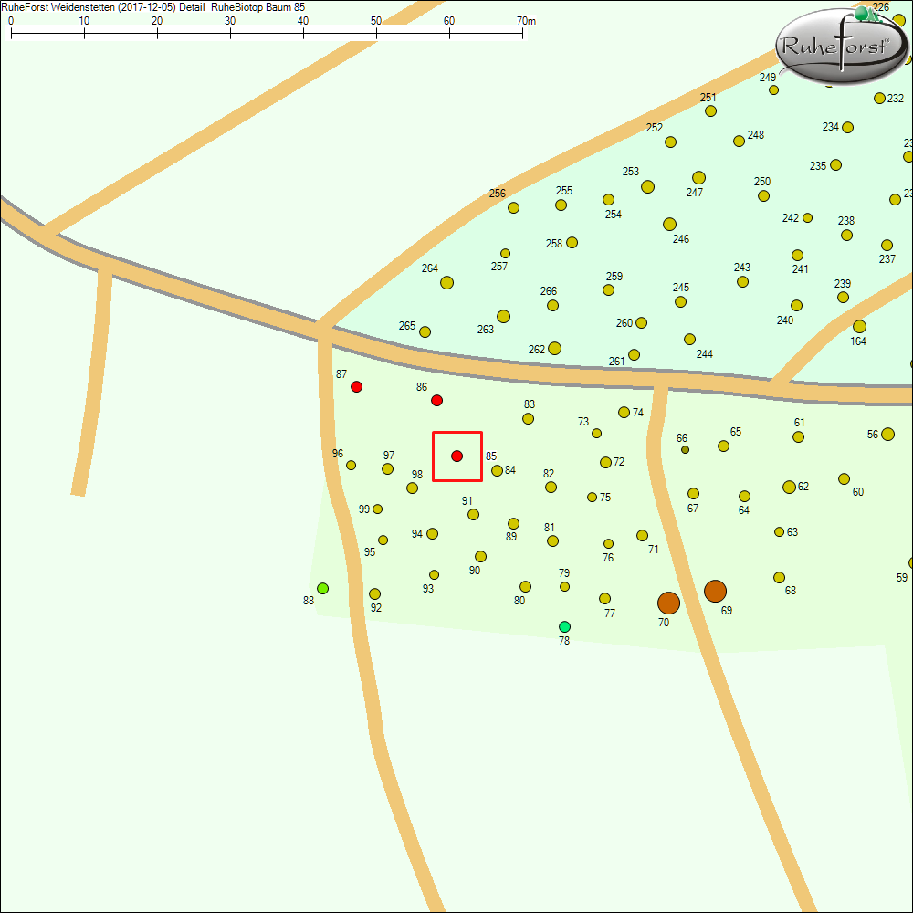 Detailkarte zu Baum 85